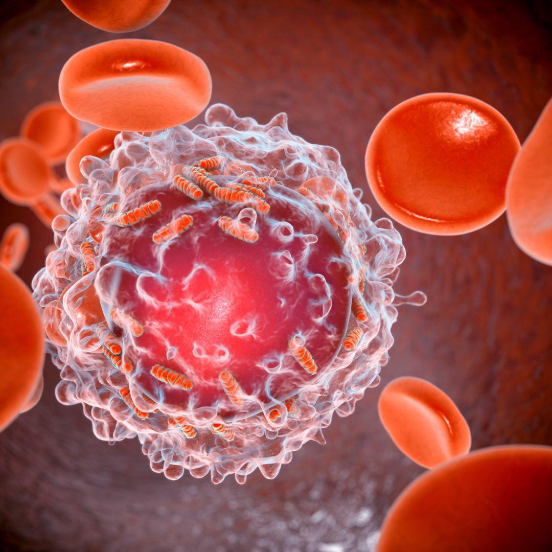 terapia metabolica mitocondrial